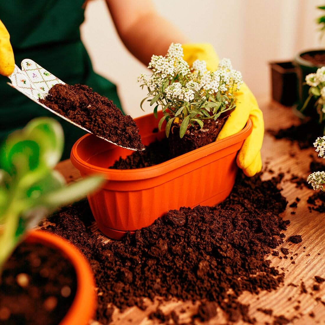 Red Soil, Compost, plants Supply preview 6
